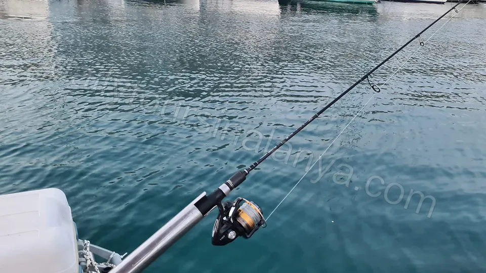 Fishing in Alanya photo 2