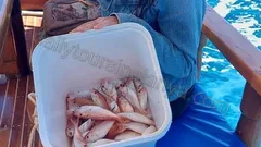 Alanya Snorkeling and Fishing Tour nav photo 12