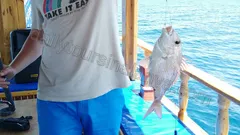 Alanya Snorkeling and Fishing Tour nav photo 8
