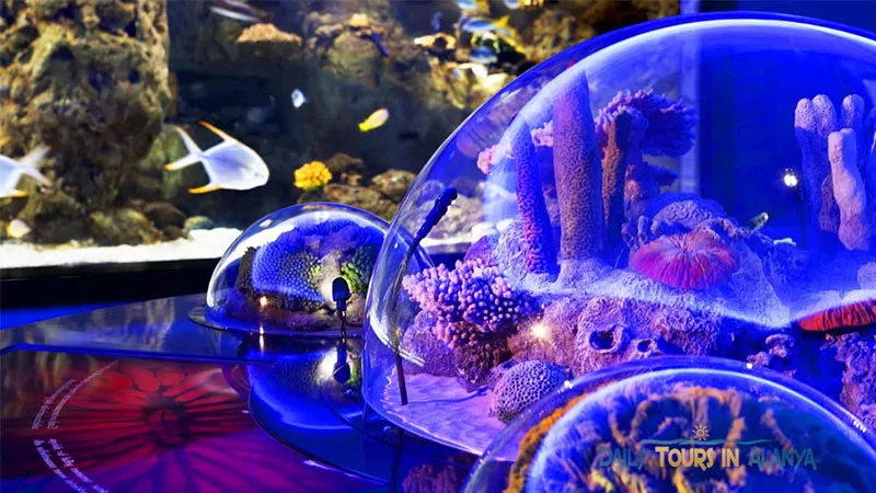 Antalya Aquarium Tour From Alanya image 2