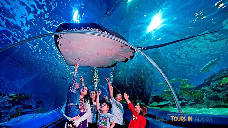 Antalya Aquarium Tour From Alanya image 4