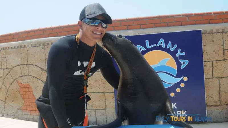 Alanya Dolphin Show  image 10