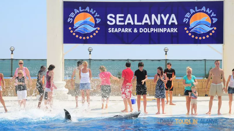 Alanya Dolphin Show  image 7