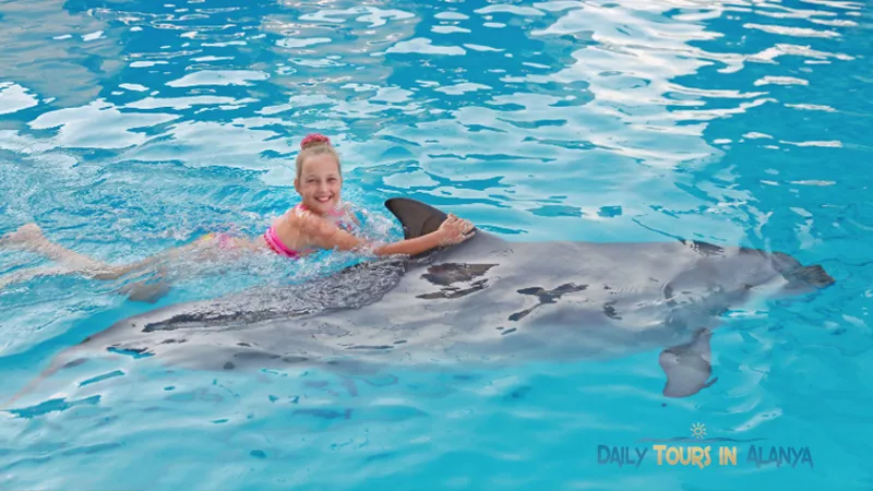 Swim with dolphins in Alanya image 1