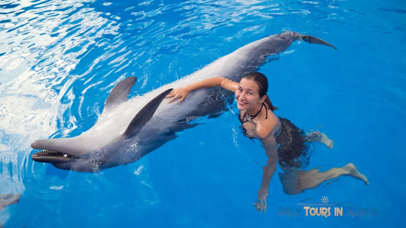Swim with dolphins in Alanya image 5