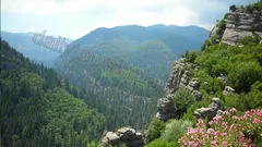 Tazı Kanyon + Büyük Zipline + Jeep Safari + Rafting nav photo 14