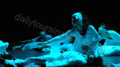 Шоу Огни Анатолии из Алании nav photo 1