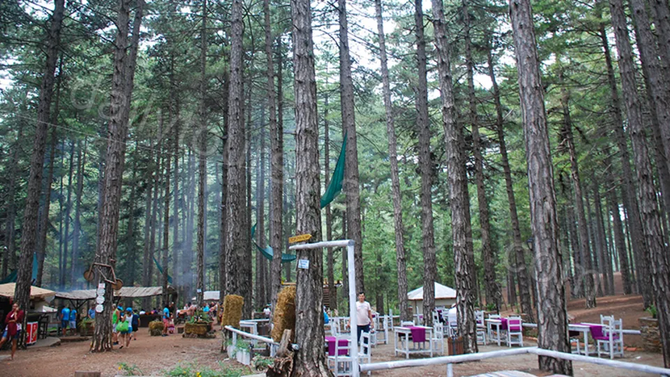 Тур в Каньон Сападере в Алании photo 38