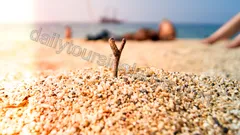 Обзорная экскурсия по Алании nav photo 14