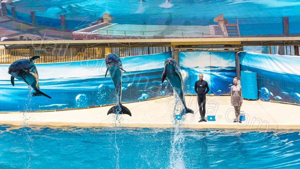 Парк развлечений The Land Of Legends photo 33