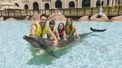 Парк развлечений The Land Of Legends nav photo 34