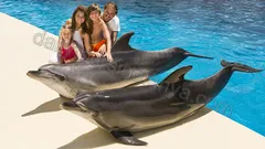 Парк развлечений The Land Of Legends nav photo 36