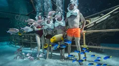 Парк развлечений The Land Of Legends nav photo 42