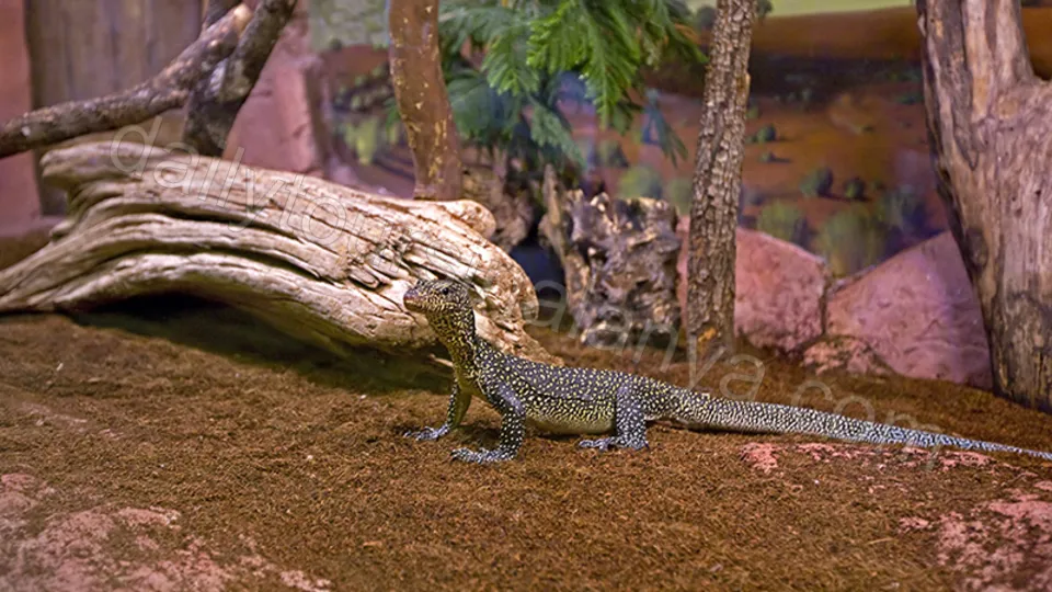 Экскурсия Океанариум Анталии из Алании photo 13