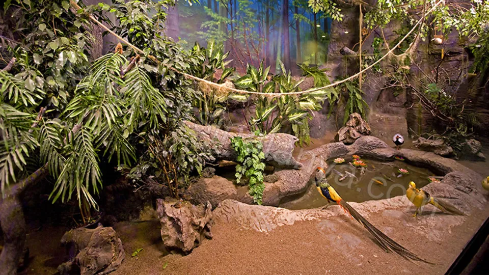 Экскурсия Океанариум Анталии из Алании photo 14