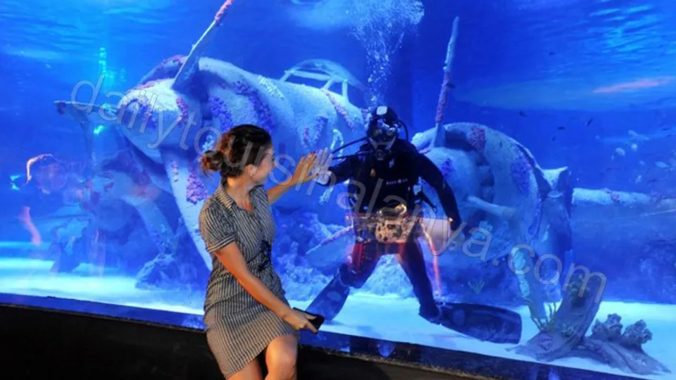 Экскурсия Океанариум Анталии из Алании photo 18