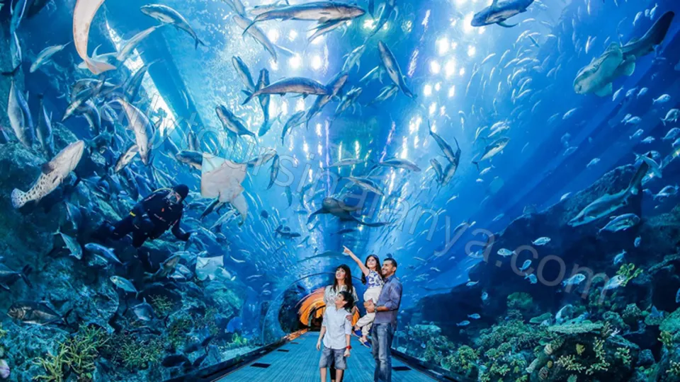 Экскурсия Океанариум Анталии из Алании photo 20