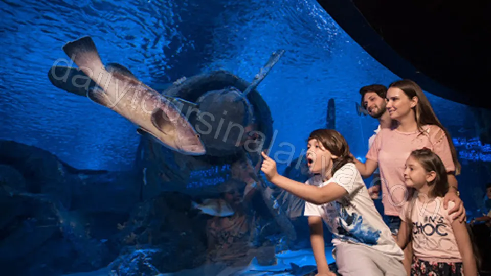 Экскурсия Океанариум Анталии из Алании photo 23