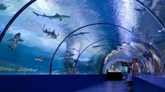 Экскурсия Океанариум Анталии из Алании nav photo 1