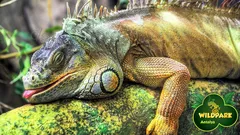 Экскурсия Океанариум Анталии из Алании nav photo 11