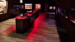 Экскурсия Океанариум Анталии из Алании nav photo 12