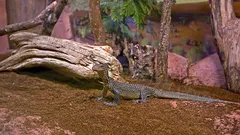 Экскурсия Океанариум Анталии из Алании nav photo 13