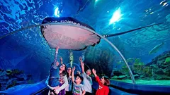 Экскурсия Океанариум Анталии из Алании nav photo 17