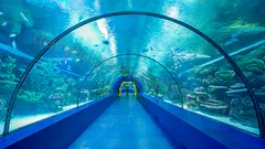 Экскурсия Океанариум Анталии из Алании nav photo 19