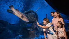 Экскурсия Океанариум Анталии из Алании nav photo 23