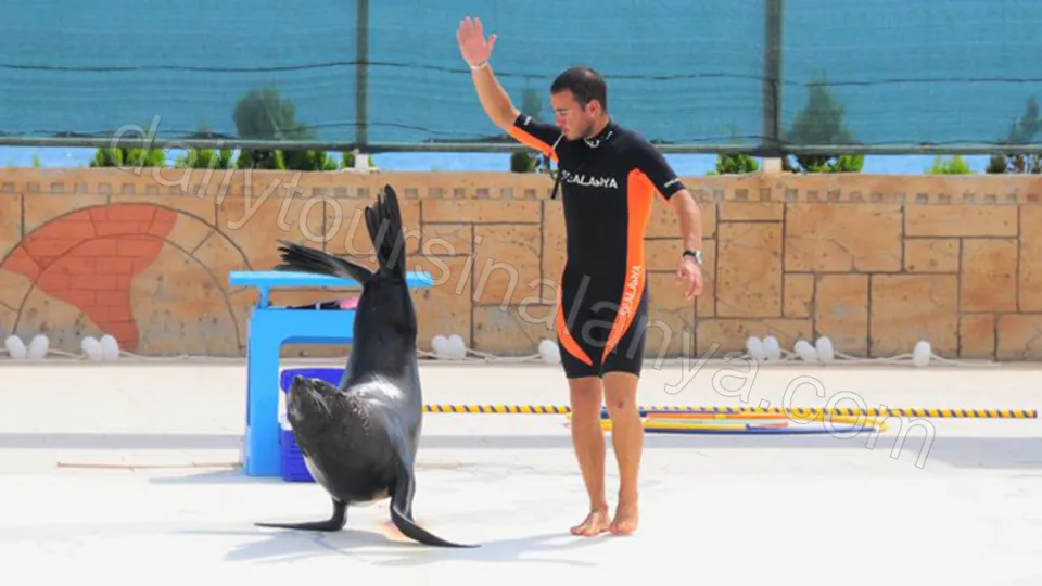 Alanya Yunus Gösterisi photo 5