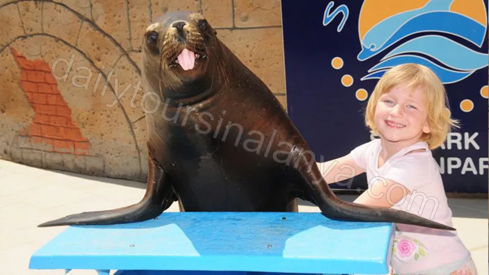 Alanya Yunus Gösterisi photo 8