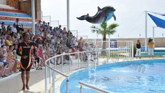 Alanya Yunus Gösterisi nav photo 4