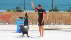 Alanya Yunus Gösterisi nav photo 5