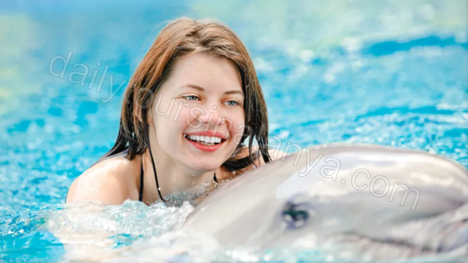 Swim with dolphins in Alanya photo 14