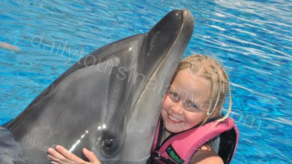 Swim with dolphins in Alanya photo 17