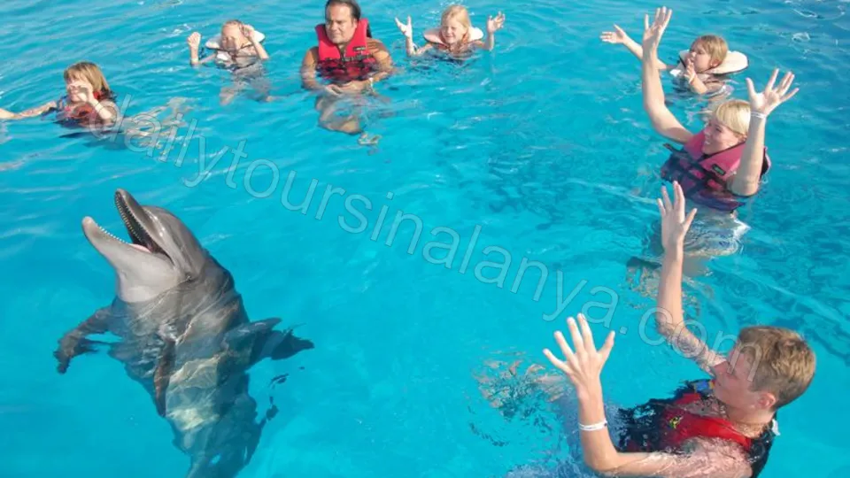 Swim with dolphins in Alanya photo 18