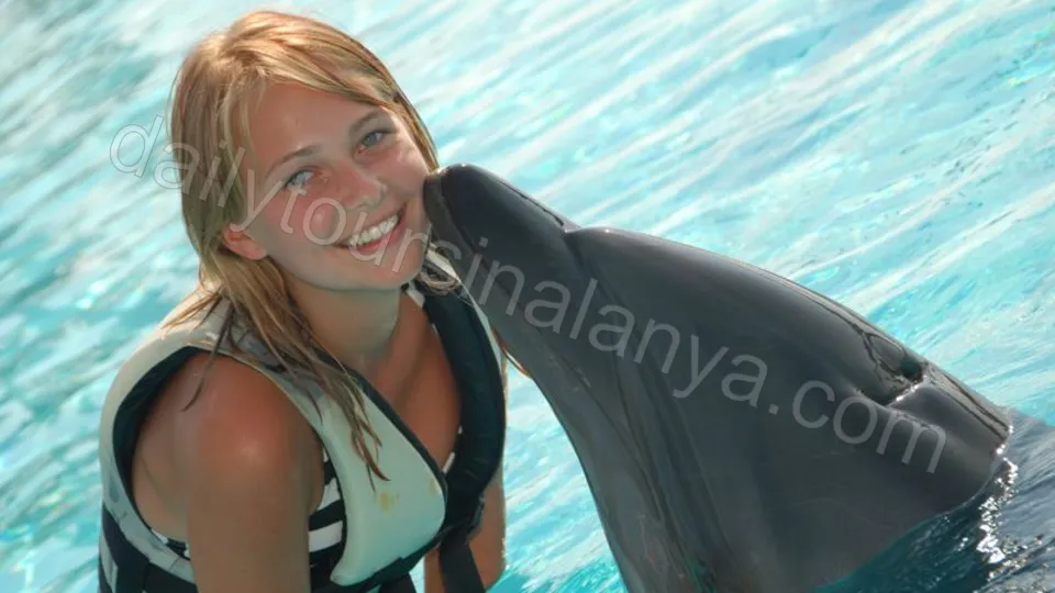 Swim with dolphins in Alanya photo 19