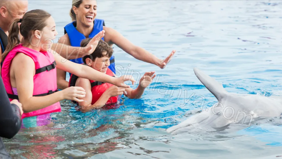 Swim with dolphins in Alanya photo 6