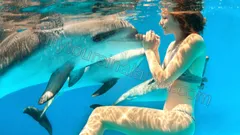 Swim with dolphins in Alanya nav photo 10