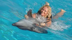Swim with dolphins in Alanya nav photo 15