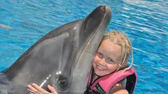 Swim with dolphins in Alanya nav photo 17