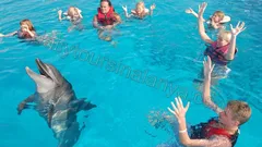 Swim with dolphins in Alanya nav photo 18