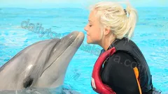 Swim with dolphins in Alanya nav photo 0