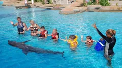Swim with dolphins in Alanya nav photo 20