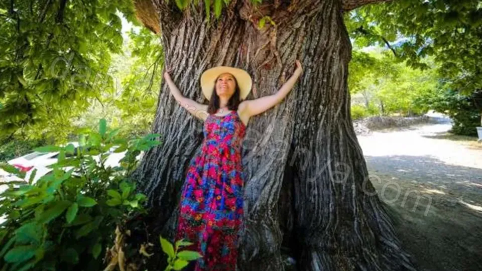 Alanya'dan Altınbeşik Mağarası Turu photo 6