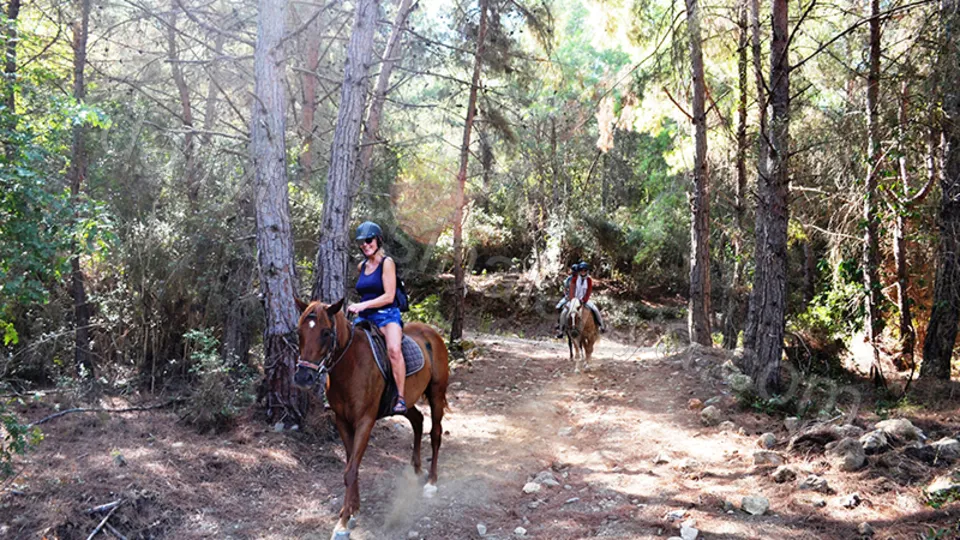 Прогулка на лошадях в Алании photo 15