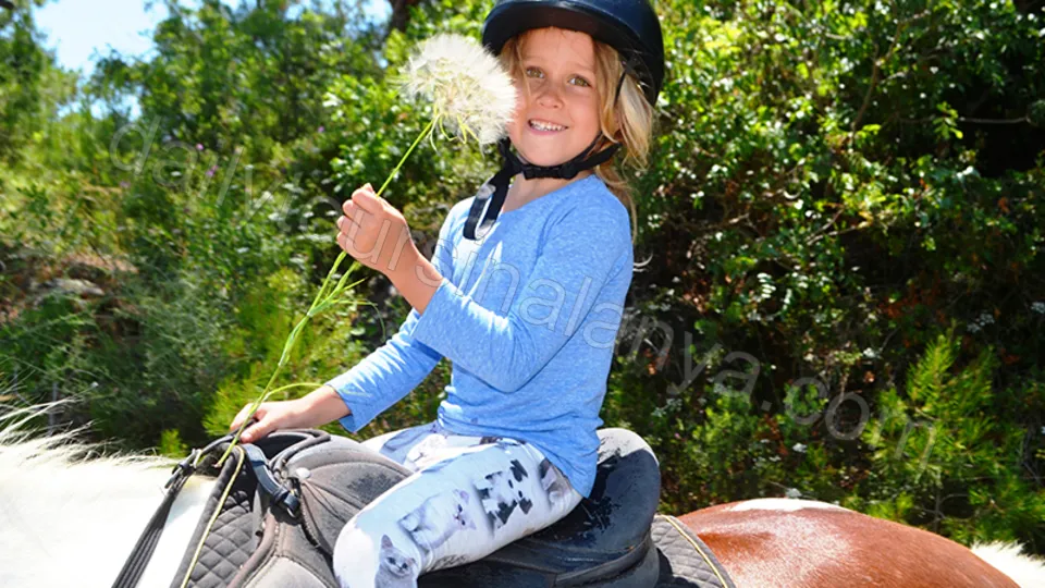 Прогулка на лошадях в Алании photo 17