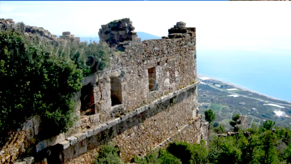 Прогулка на лошадях в Алании photo 8