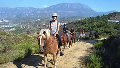 Прогулка на лошадях в Алании nav photo 0
