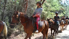 Прогулка на лошадях в Алании nav photo 14